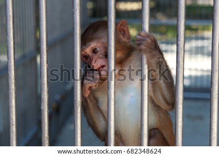 behind bars