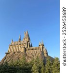 Behind Hogwarts Castle at Universal Studios Japan