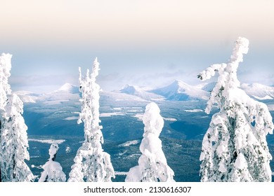 Behind The Trees At The Top Of The World At Big White Ski Resort.