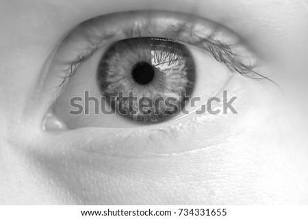 Similar – eye droplets Eyes Eyelash