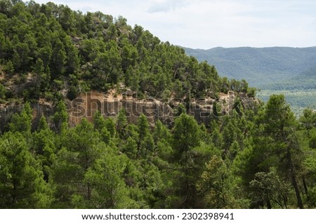 Similar – Image, Stock Photo Let the eye wander 5