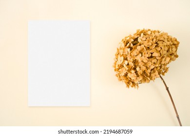 Beige 5x7 Mockup Card With Dried Flowers