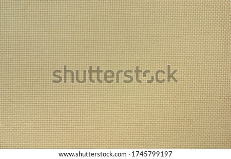The beige Aida cotton fabric of uniform weave for cross stitch.