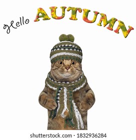 A Beige Big Eyed Cat In A Green Knitted Scarf And A Hat. Hello Autumn. White Background. Isolated.