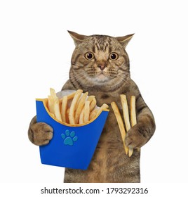 fried cats