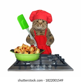 10,826 Cat cooking Images, Stock Photos & Vectors | Shutterstock