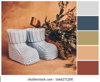 Beige and blue color palette. Harmonious combinations of colours. Color mixing. Mood board.