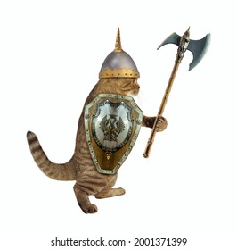 Beige Cat Armed Battle Axe Helmet Stock Photo 2001371399 | Shutterstock