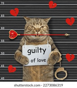 A beige cat was arrested. He has a sign around his neck that says guilty of love. Lineup black background. - Shutterstock ID 2273086319