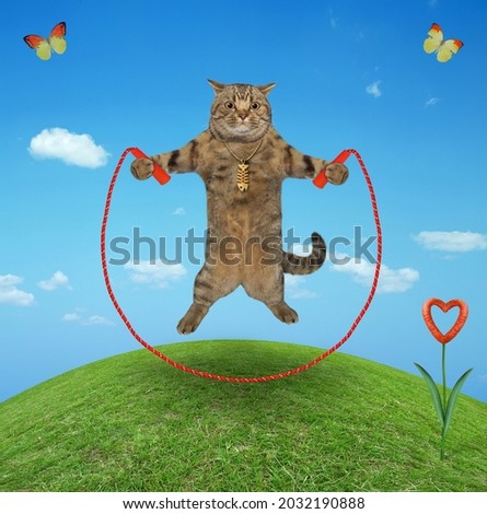 A beige cat athlete is training with a jumping rope  in the meadow.