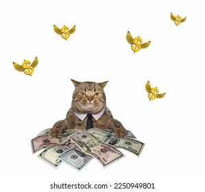 A beige cat businessman sits near a heap of dollars. White background. Isolated. - Shutterstock ID 2250949801