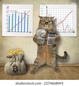 A beige cat with a calculator and a fan of dollars shows how to make money in financial charts. - Shutterstock ID 2274668041