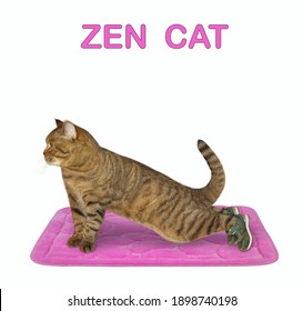 A beige cat is doing plank exercise workout on a pink fitness mat. Zen cat. White background. Isolated.