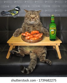 The Beige Cat Is Drinking Beer And Eating Boiled Shrimp At A Wooden Bed Tray On A Black Leather Sofa. His Bird Is Next To Him.