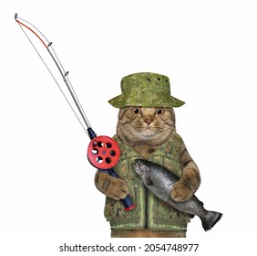A beige cat fisher in a green hat with a fishing rod caught a trout. White background. Isolated.