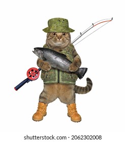 A beige cat fisher in a green hat with a fishing rod caught a trout. White background. Isolated.