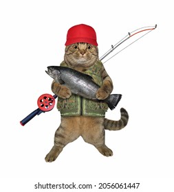 A beige cat fisher in a red cat with a fishing rod caught a trout. White background. Isolated.