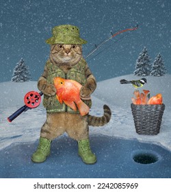 A beige cat fisher with a rod holds a goldfish on the frozen lake during winter fishing. - Shutterstock ID 2242085969