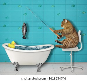 The beige cat fisher is sitting on a office chair and fishing in the bathtub in the bathroom. White background. Isolated.