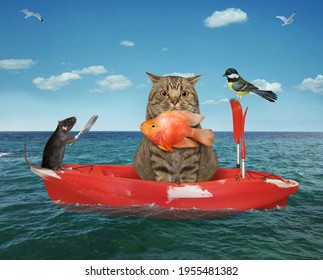 Beige Cat Fisherman Red Row Boat Stock Photo 1955481382 | Shutterstock