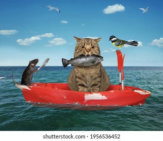 A Beige Cat Fisherman In A Red Row Boat Caught A Trout In The Sea.