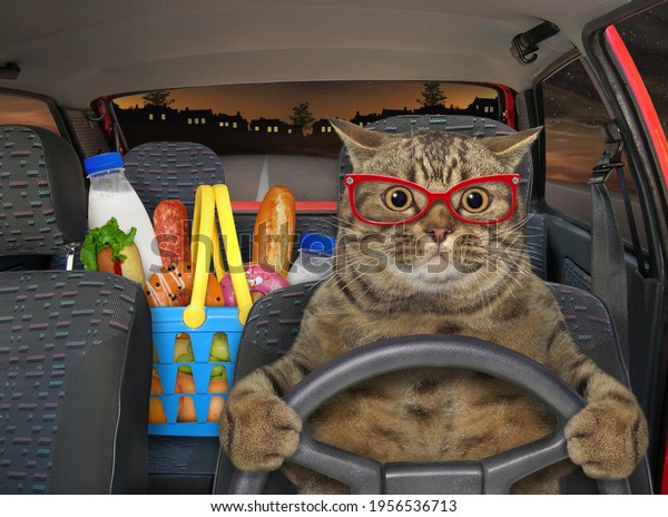 A beige cat in\
glasses drives a car on the highway at night. A shopping basket\
with food is next to him.