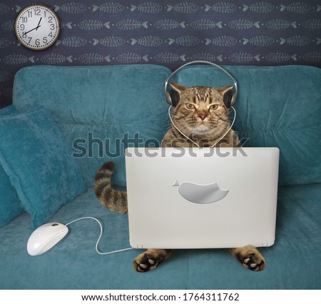 The beige cat in headphones is using a silver laptop on a blue sofa at home. A white computer mouse is next to him.