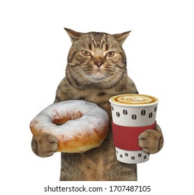 The beige cat is holding a paper cup of black coffee and a powdered sugar donut. White background. Isolated.