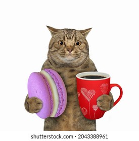 A beige cat holds a big cup of coffee and a macaron. White background. Isolated.
