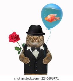 A beige cat holds a red rose and a balloon with a goldfish inside. White background. Isolated. - Shutterstock ID 2240696771
