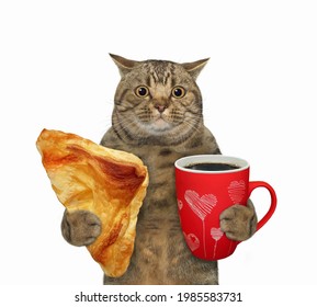 Chat Rigolo Images Photos Et Images Vectorielles De Stock Shutterstock