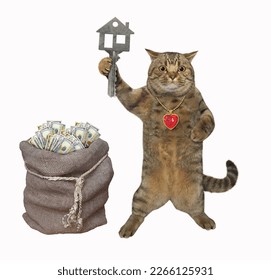 A beige cat with a house key is near a sack of dollars. White background. Isolated. - Shutterstock ID 2266125931