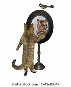 A Beige Cat Is Looking In An Oval Mirror. He Sees A Tiger There. White Background. Isolated.