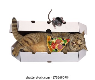 The Beige Cat Is Lying In A Pizza Box And Eating A Slice Of Pizza. A Black Rat Is Next To Him. White Background. Isolated.