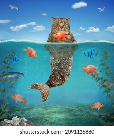 A beige cat mermaid with a golden fish tail caught a goldfish in underwater on the seabed.