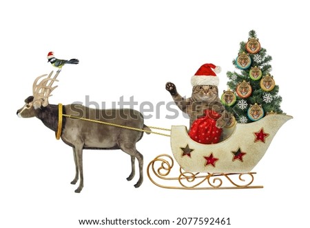 A beige cat in Santa Claus clothing rides a reindeer sleigh with a Christmas tree. White background. Isolated.