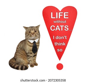 A Beige Cat Sits Near A Heart Shaped Exclamation Point With Text Life Without Cats... I Don't Think So. White Background. Isolated.