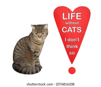 A Beige Cat Sits Near A Heart Shaped Exclamation Point With Text Life Without Cats... I Don't Think So. White Background. Isolated.