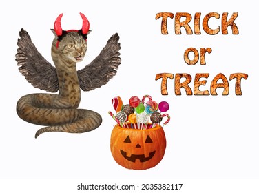 A Beige Cat Snake With Wings In Red Horns Is Near A Pumpkin With Candies For Halloween. White Background. Isolated.