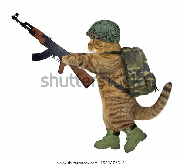 Beige Cat Soldier Army Helmet Boots 