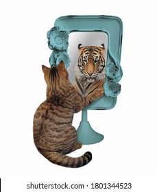 Cat Seeing Lion In Mirror Images Stock Photos Vectors Shutterstock