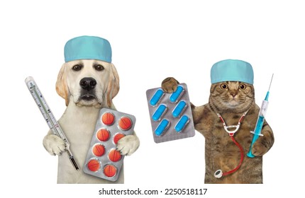 A beige cat with a stethoscope and a dog labrador with pills are doctors. White background. Isolated. - Shutterstock ID 2250518117