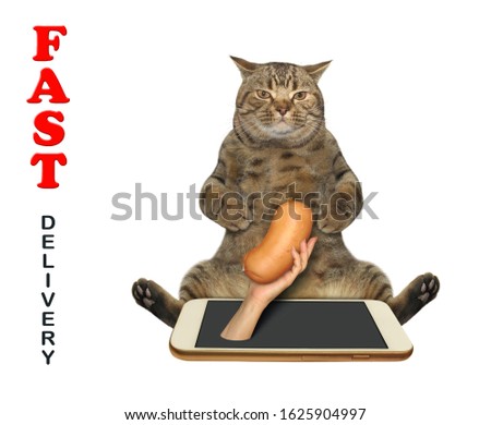 The beige cat is taking sausage from the phone. White background. Isolated. Fast delivery.