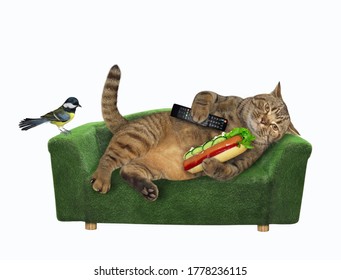 The Beige Cat With A Tv Remote Control And Hot Dog In Its Paw Is Resting On A Green Sofa At Home. A Bird Is Next To Him. White Background. Isolated.