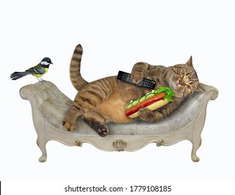 The Beige Cat With A Tv Remote Control And Hot Dog In Its Paws Is Resting On A Gray Sofa At Home. A Bird Is Next To Him. White Background. Isolated.