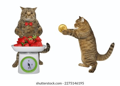 A beige cat wants to buy strawberry. White background. Isolated. - Shutterstock ID 2275146195