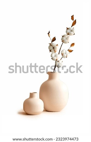 Beige ceramic vases with dry cotton branches. Neutral trendy colors interior decoration .