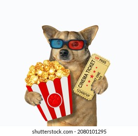 A beige dog in 3d glasses holds a cinema ticket and popcorn. White background. Isolated.