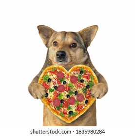 Pizza Dog Images Stock Photos Vectors Shutterstock