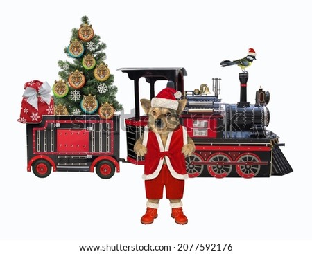 A beige dog in a Santa Claus clothing is near a holiday train with the Christmas tree. White background. Isolated.